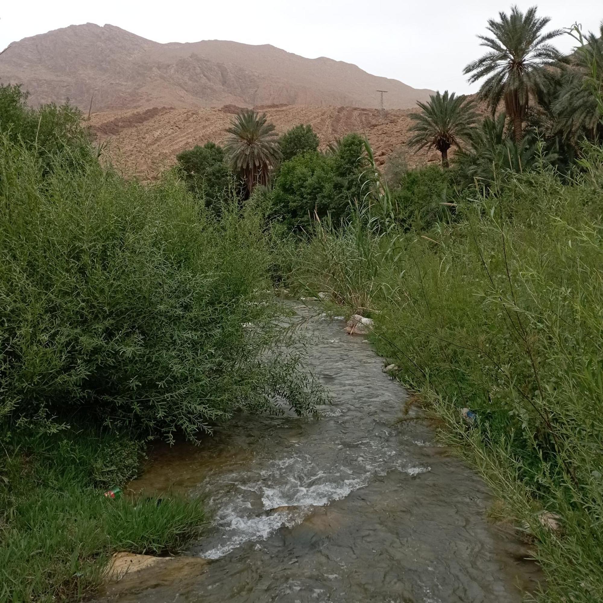Riad La Fleur Aït Baha Værelse billede